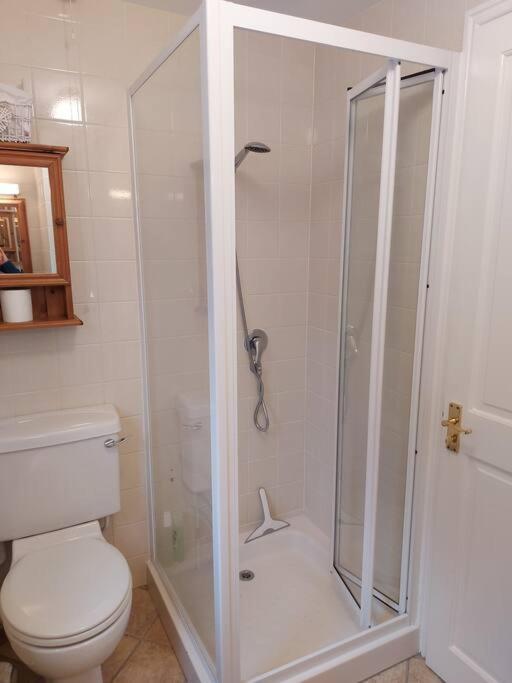 Cheerful, Cosy, One Bedroom Home With Patio And Parking Newbury  Buitenkant foto
