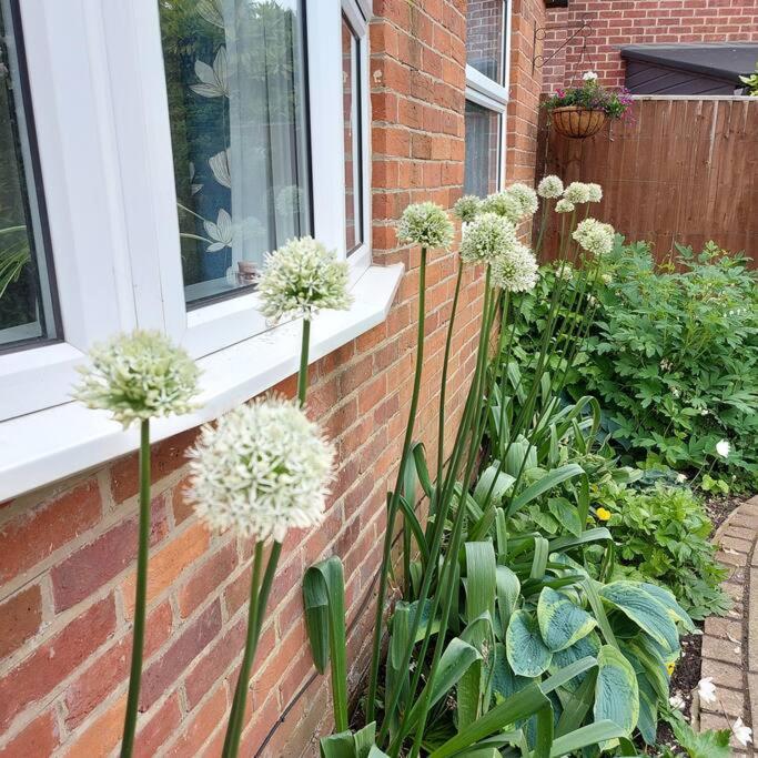 Cheerful, Cosy, One Bedroom Home With Patio And Parking Newbury  Buitenkant foto